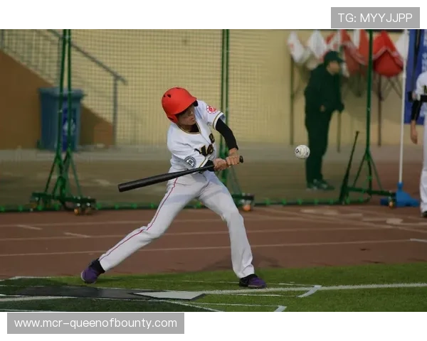 垒球运动在社会发展中的角色：从竞技表演到大众健身